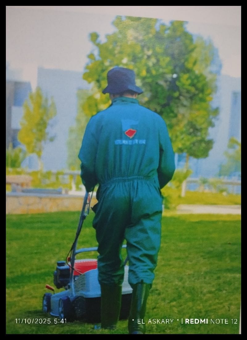 Tonte du gazon - ELASKARY SERVICES