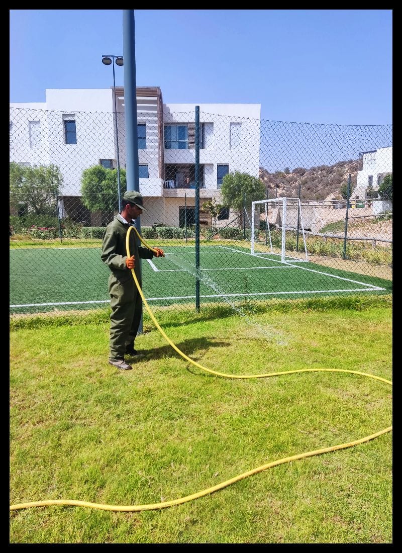 Arrosage du nouveau gazon - ELASKARY SERVICES