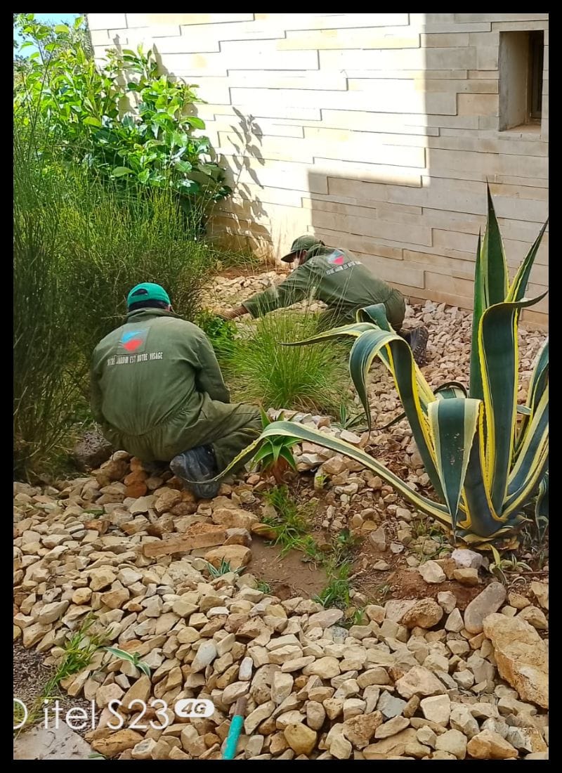 Préparation du terrain - ELASKARY SERVICES