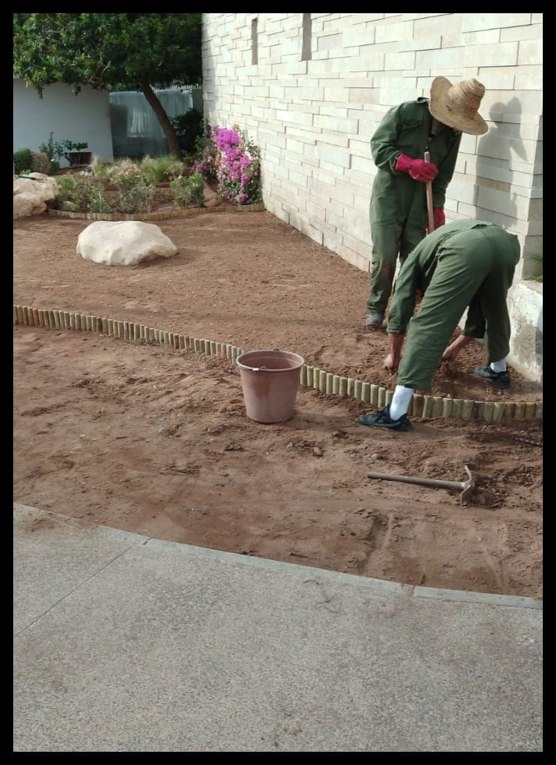 Nivellement et organisation du sol - ELASKARY SERVICES