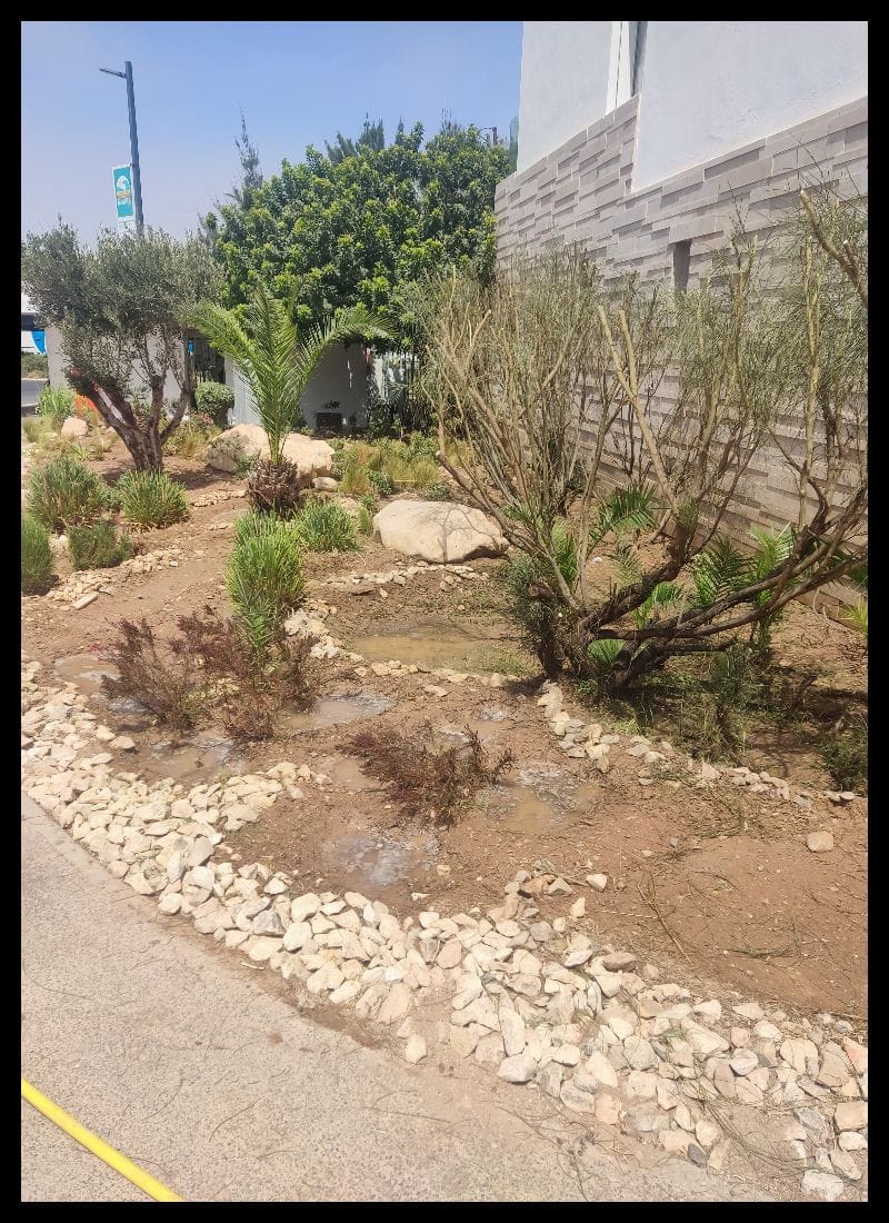 Avant aménagement espace vert - ELASKARY SERVICES